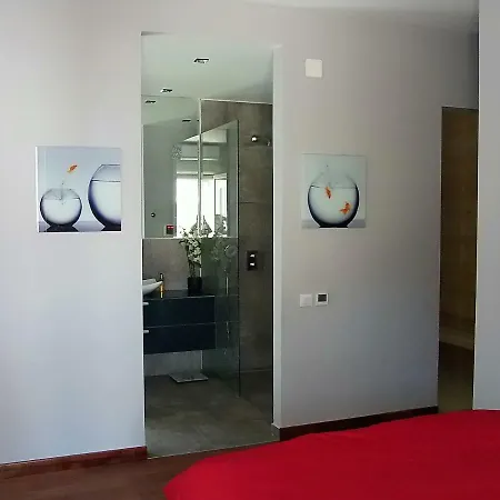 Splendid Split